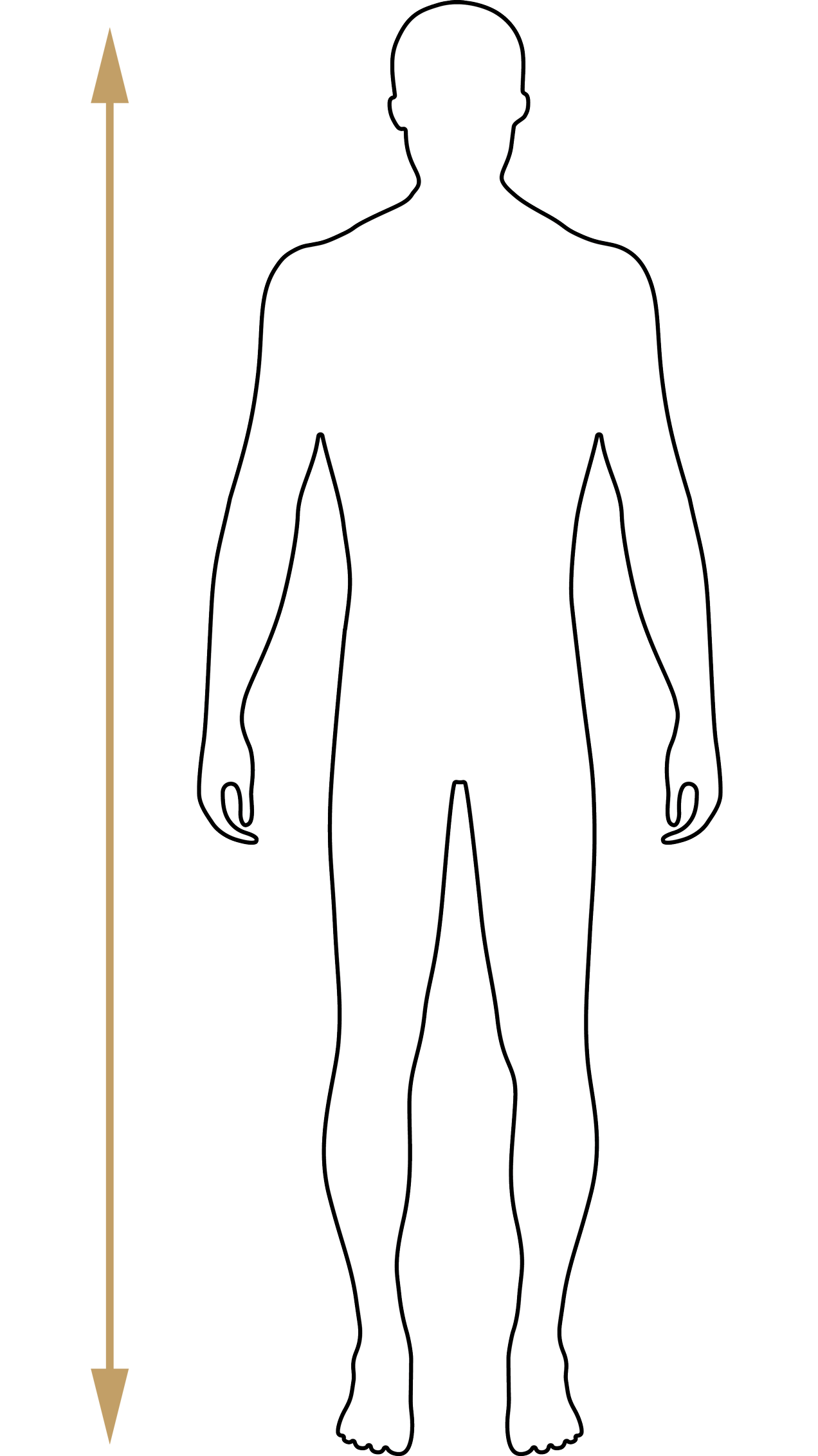 Alt Image